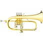 B&S 3145 Challenger I Series Bb Flugelhorn Yellow Brass thumbnail