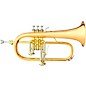 B&S 3145 Challenger I Series Bb Flugelhorn Gold Brass thumbnail