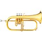 Open Box B&S 3146 Challenger II Brochon Series Bb Flugelhorn Level 2 3146/2-GL Yellow Brass Bell 886830828560 thumbnail