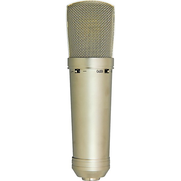 数量は多い  MXL 2010 Center Guitar | Mic Condenser Multipattern バット