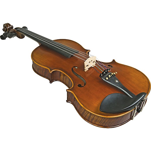 Bellafina Electric Violina 5-String Violin (16inch) Outfit