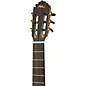 Manuel Rodriguez C1 Madagascar Ebony Nylon-String Acoustic Guitar