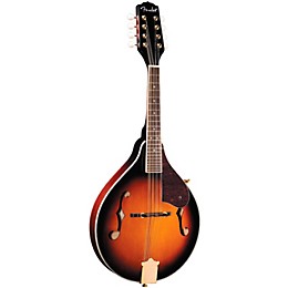 ギター Fender Mandolin FM-60s 2000s Fender FM-52E Electric Mandolin (Modded w/P90)
