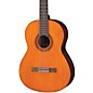 Open Box Yamaha C40 Gigmaker Classical Acoustic Guitar Pack (Natural) Level 2  194744678738