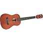 Johnson UK-200 Hawaiian Baritone Ukulele