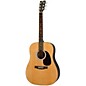 Rogue RA-100D Dreadnought Acoustic Guitar Natural
