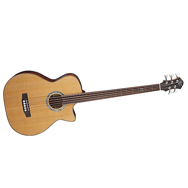 Restock Michael Kelly Club Custom 5-String Acoustic-Electric Bass