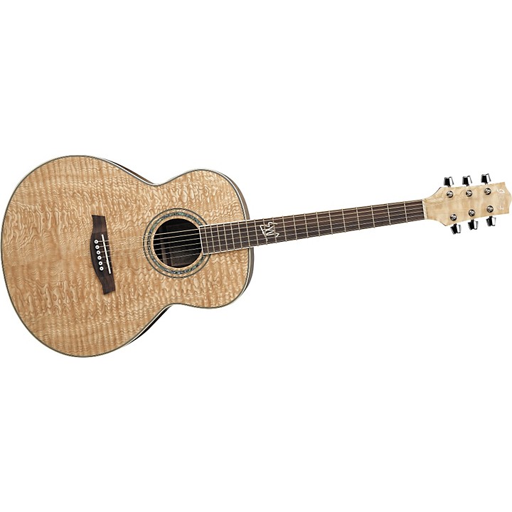 ibanez exotic wood ew20as acoustic guitar