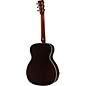 Silver Creek T-170 Acoustic Guitar Natural
