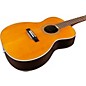 Silver Creek T-170 Acoustic Guitar Natural