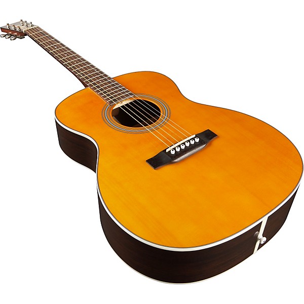 Silver Creek T-170 Acoustic Guitar Natural