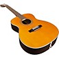 Silver Creek T-170 Acoustic Guitar Natural