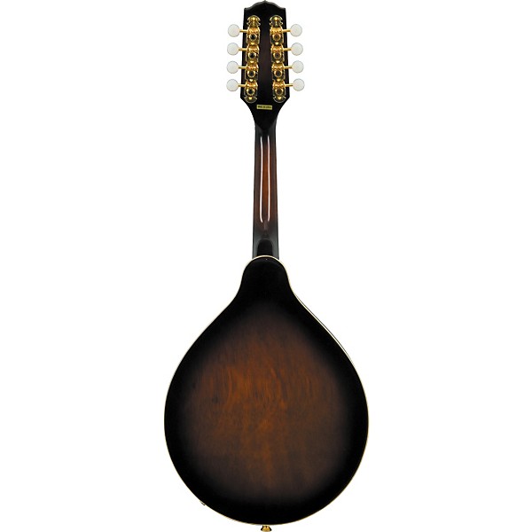 ギター Fender Mandolin FM-60s Fender