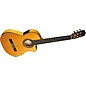 Cordoba 55FCE Thin Body Nylon String Acoustic-Electric Guitar