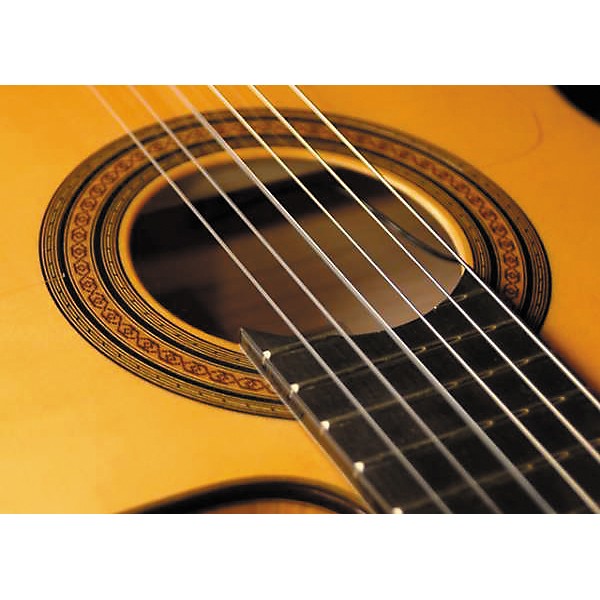 Cordoba 55FCE Thin Body Nylon String Acoustic-Electric Guitar