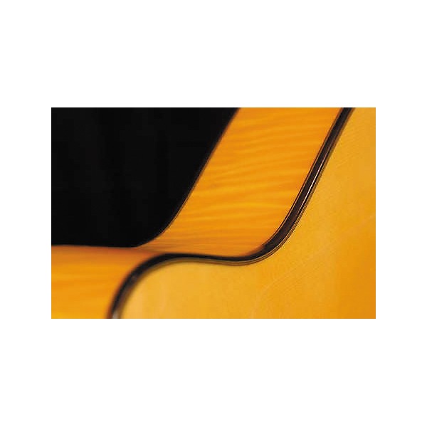 Cordoba 55FCE Thin Body Nylon String Acoustic-Electric Guitar