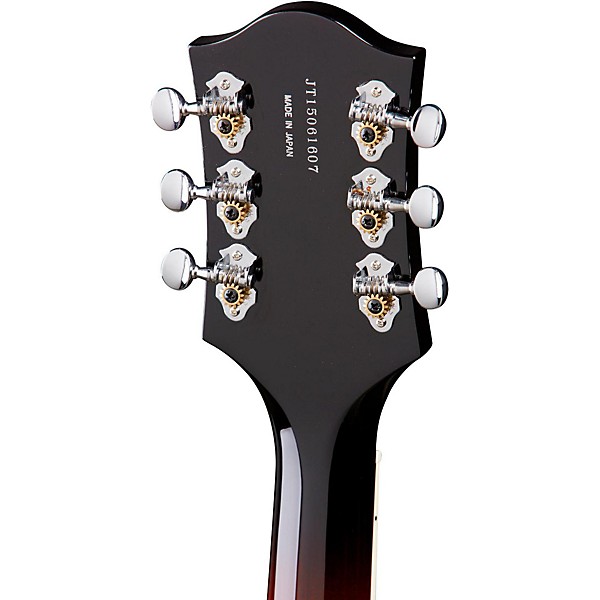 Platinum Gretsch Guitars G6119-1962HT Chet Atkins Tennessee Rose