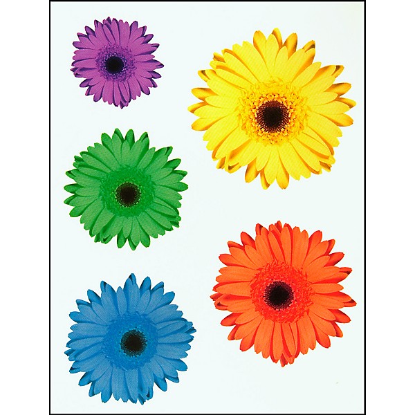 Daisy Rock Pixie Acoustic Guitar Starter Pack Blue Sparkle