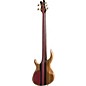 Tobias Classic 5-String Bass