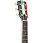 Rogue Mexican Flag Acoustic Guitar