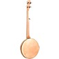 Gold Tone CC-100R Resonator Banjo