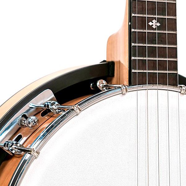 Gold Tone CC-100R Resonator Banjo