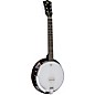 Open Box Rogue 6-String Banjo Level 2 Natural 190839237460