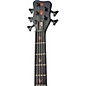 Warwick Flamin' Blonde Limited Edition 5-String Bass Guitar Natural
