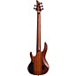 Open Box ESP LTD D-5 5-String Bass Guitar Level 2 Satin Natural 190839720078