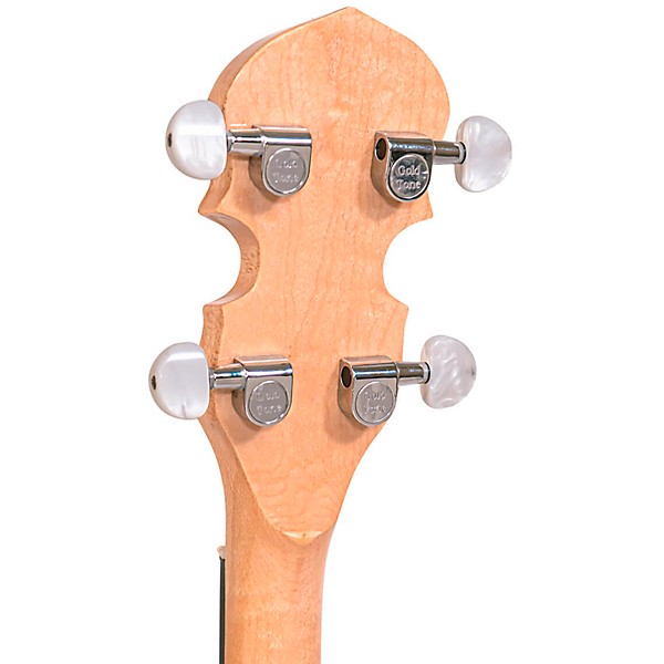 Gold Tone CC-100 (O) Open-Back Banjo Natural