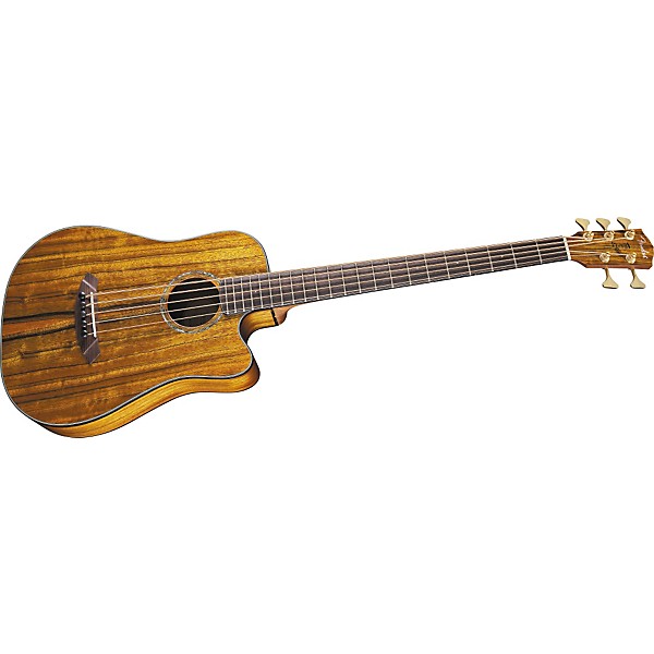 Fender VB-NAT Victor Baileyシグネイチャ フェンダー Fender Victor Bailey Signature 5-String Acoustic-Electric