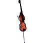 BSX Bass Allegro Acoustic-Electric Upright Bass Nutmeg thumbnail