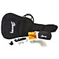 Ibanez JamPack Solid-Top Acoustic Guitar Pack High Gloss Black thumbnail