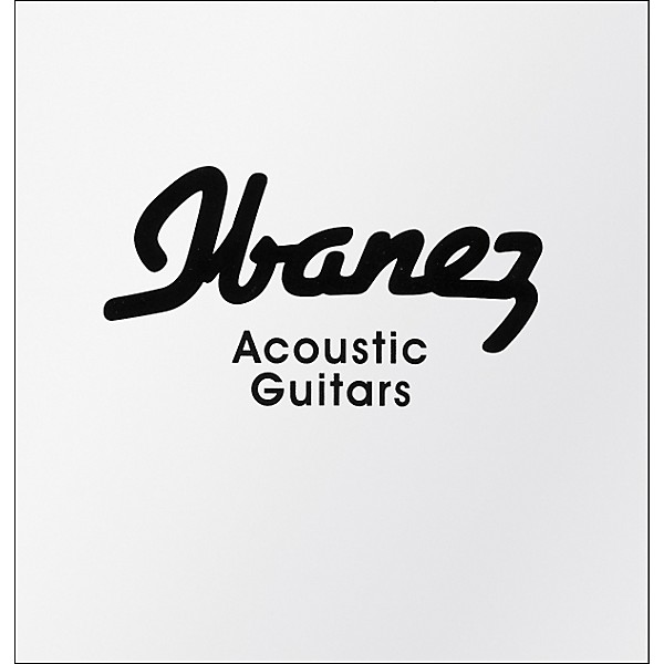 Ibanez JamPack Solid-Top Acoustic Guitar Pack High Gloss Black