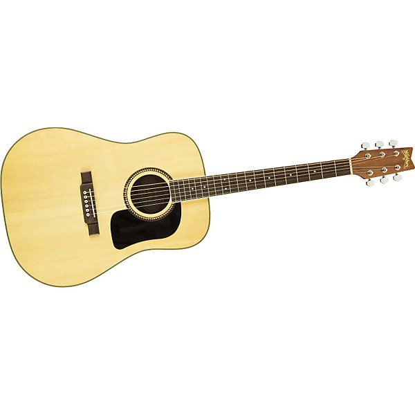 Washburn D-10S/ DLトップ単板♪グローバーペグ♪HC付き！低弦高 Washburn Guitars