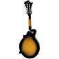 Johnson F-Model Mandolin Black