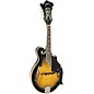 Johnson F-Model Mandolin Black
