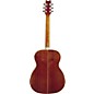 Washburn F10S Acoustic Guitar Satin Natural