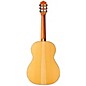 Open Box Cordoba Solista Flamenca Acoustic Nylon String Flamenco Guitar Level 2  194744297137