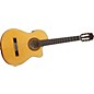 Cordoba 45FCE Nylon String Cutaway Acoustic-Electric Guitar with Humicase