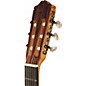Cordoba 45FCE Nylon String Cutaway Acoustic-Electric Guitar with Humicase
