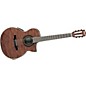 Ibanez EW Series EWN28BGENT Cutaway Nylon String Acoustic-Electric Guitar Natural thumbnail