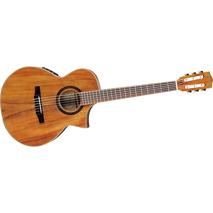 Open Box Ibanez EW Series EWN28KOENT Cutaway Nylon String