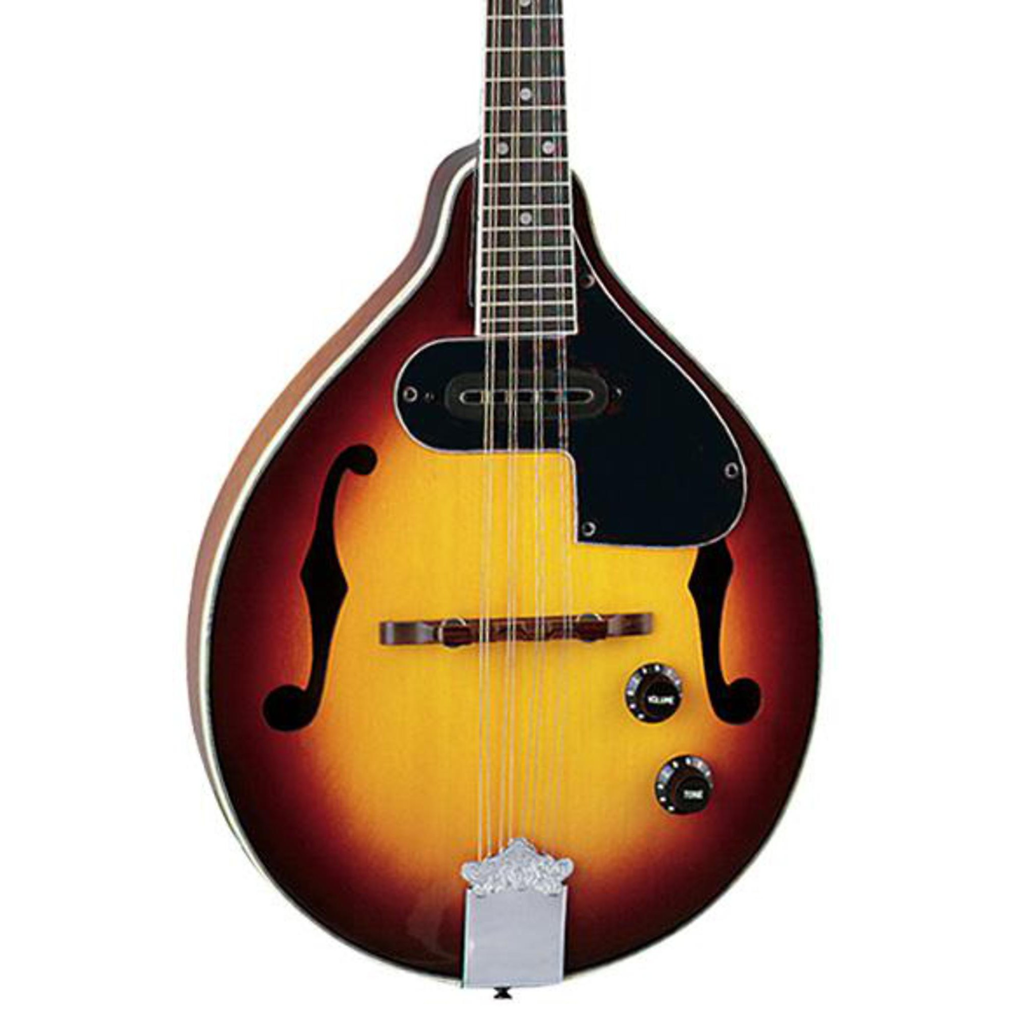 (美品) DEAN Tennessee A/E Mandolin マンドリン Open Box Dean Tennessee AE