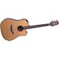 Takamine EAN10C Dreadnought Acoustic-Electric Cutaway Guitar Natural thumbnail