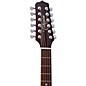 Takamine JJ325SRC12 John Jorgenson Signature 12-String Acoustic-Electric Guitar Gloss Red Stain