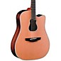 Takamine GB-7C Garth Brooks Signature Acoustic-Electric Guitar thumbnail