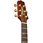 Takamine TSF48C Acoustic Electric Guitar Natural