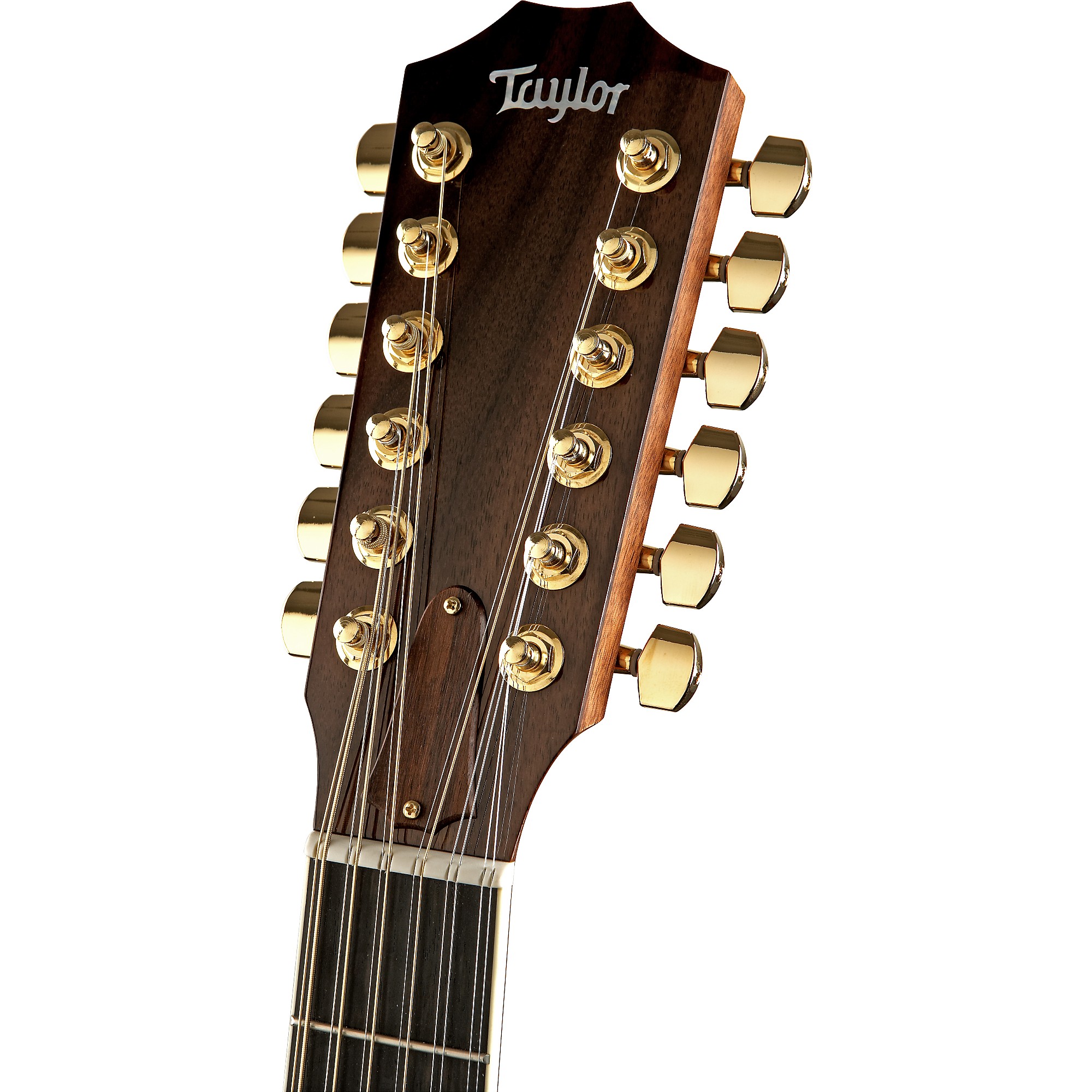 ギター 's effects MorningGlory JHS morning glory clone】Tommy's effectsを好きに弾く動画