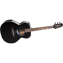 その他 mgm Takamine Limited Edition LTD2008 NEX Acoustic-Electric